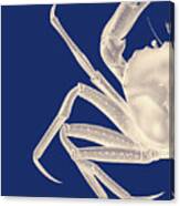 Contrasting Crab In Navy Blue A Canvas Print