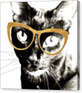 Cool Kat #1 Canvas Print