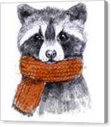 Cute Raccoon With Scarf  Sketchy Canvas Print