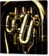 Detail Of The Brass Pipes Of A Tuba #1 Canvas Print