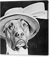 Doggy Hat #1 Canvas Print