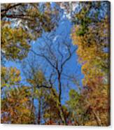 Dreaming In Smithgall Woods #2 Canvas Print