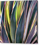 Edged In Light Canvas Print
