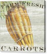Farm Fresh Carrots #1 Canvas Print