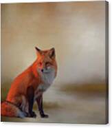 Foxy #1 Canvas Print