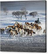 Galloping Horses #1 Canvas Print
