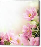 Garden With Pink Flowers Canvas Print