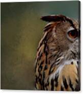 Hoo Goes There Canvas Print