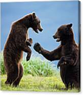Grizzly Bears, Katmai National Park #1 Canvas Print