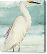 Heron On Seaglass Ii #1 Canvas Print