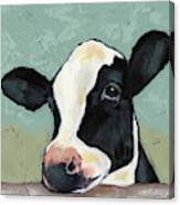 Holstein Cow Ii #1 Canvas Print