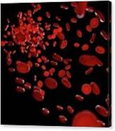 Illustration Of Blood Cells Inside An Artery #1 Canvas Print