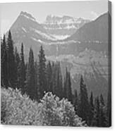 In Glacier National Park #1 Canvas Print