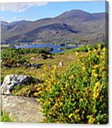 Ireland #1 Canvas Print