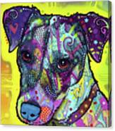 Jack Russell #1 Canvas Print