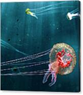 Jellyfish Noctiluca Pelagia #1 Canvas Print