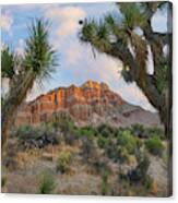 Joshua Tree And Cliffs, Red Rock Canyon State Park, California #1 Canvas Print