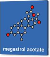 Megestrol Acetate Appetite Stimulant Drug Molecule #1 Canvas Print