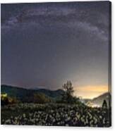 Milky Way And Daffodils #1 Canvas Print