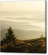 Morning Fog In Autumn Mountains. Fir #1 Canvas Print