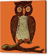 Owl On Branch #1 Canvas Print