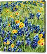 Painted Hills - Bluebonnets And Coreopsis Canvas Print