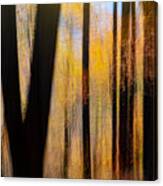 Painterly Abstract Motion Blur #1 Canvas Print
