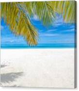 Palm And Tropical Beach, Peaceful #1 Canvas Print
