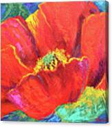 Passion Poppy #1 Canvas Print