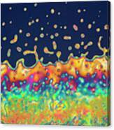 Phase Transition In Liquid Crystal #1 Canvas Print