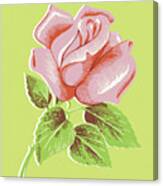 Pink Rose #1 Canvas Print