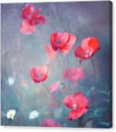 Poppies #2 Canvas Print