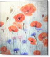 Poppy #1 Canvas Print