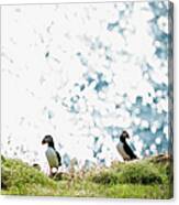 Puffin And Sea #1 Canvas Print