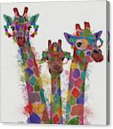 Rainbow Splash Giraffe Trio #1 Canvas Print