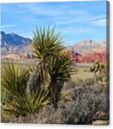 Red Rock Canyon National Conservation Area #1 Canvas Print