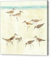 Sandpipers #1 Canvas Print