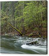 Scenic Image Of The Merced River #1 Canvas Print