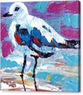 Seaside Birds Ii #1 Canvas Print