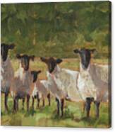 Sheep Family Ii #1 Canvas Print