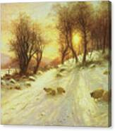 Sheep In Winter Snow Canvas Print