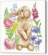 Sunny Bunny Iii Fb #1 Canvas Print