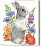 Sunny Bunny Iv Fb #1 Canvas Print