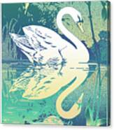 Swan #1 Canvas Print