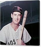 Ted Williams #1 Canvas Print