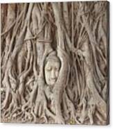 Thailand, Central Thailand, Ayutthaya, Wat Mahathat, Stone Buddha Head Enveloped By Tree Roots #1 Canvas Print