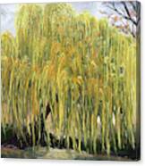 The Willow Tree #1 Canvas Print