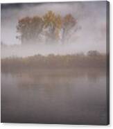 Trees In Fog Canvas Print