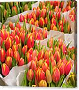 Tulips For Sale At A Flower Market #1 Canvas Print