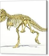 Tyrannosaurus Rex Skeleton, Artwork #1 Canvas Print